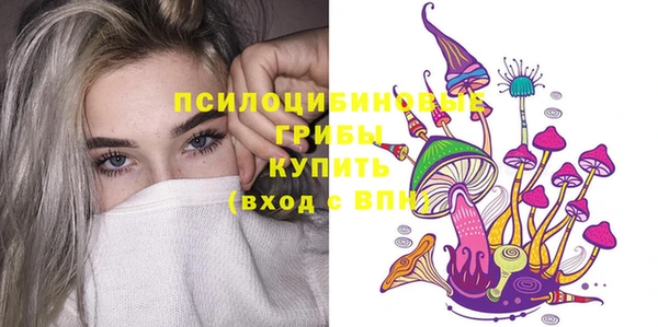 ECSTASY Галич