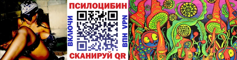 OMG зеркало  сколько стоит  Мостовской  Галлюциногенные грибы Cubensis 